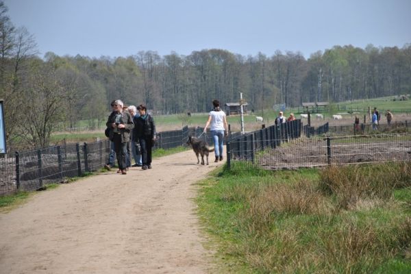 Wildpark